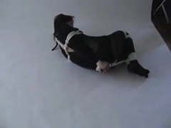 UhAnal presents: Hogtied in catsuit